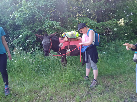 Photos des visiteurs Chambre d'hôtes Au Pressoir Sans Pression 44630 Plesse