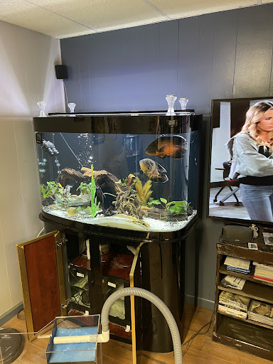 Tropical Fish Store «Fishy Business», reviews and photos, 652 Bush River Rd, Columbia, SC 29210, USA
