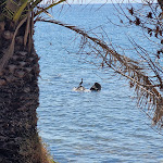 Photo n°2 de l'avis de Christine.e fait le 30/07/2022 à 11:04 sur le  Costa dei Fiori à Santa Margherita di Pula