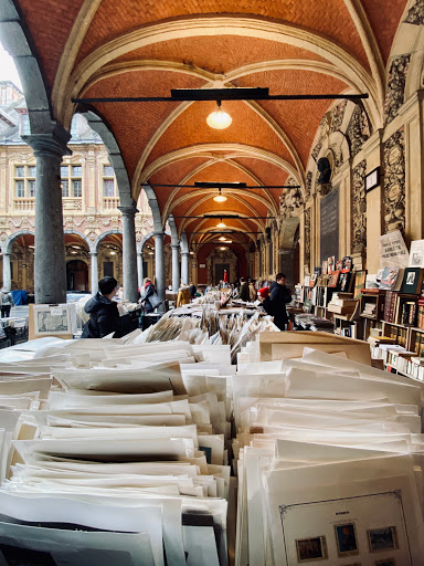 Free museums in Lille