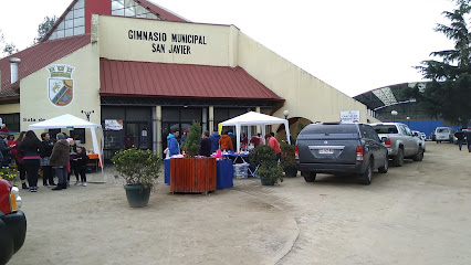 San Javier Municipal Gymnasium - San Javier, Maule, Chile