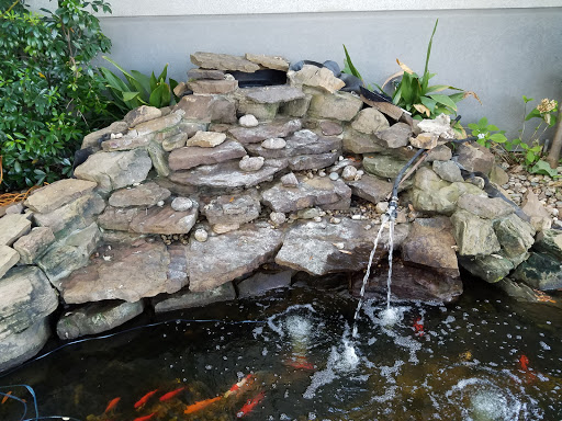 Acura Dealer Goodson Acura of Dallas reviews and photos 