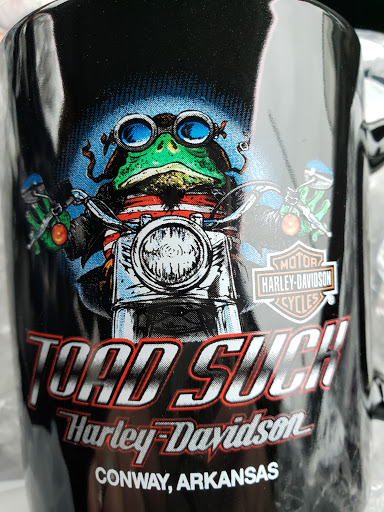 Harley-Davidson Dealer «Landers Harley Davidson», reviews and photos, 1110 Collier Dr, Conway, AR 72032, USA