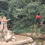 Photo n° 1 de l'avis de Cecile.e fait le 26/07/2023 à 22:43 pour Zoo de La Palmyre à Les Mathes