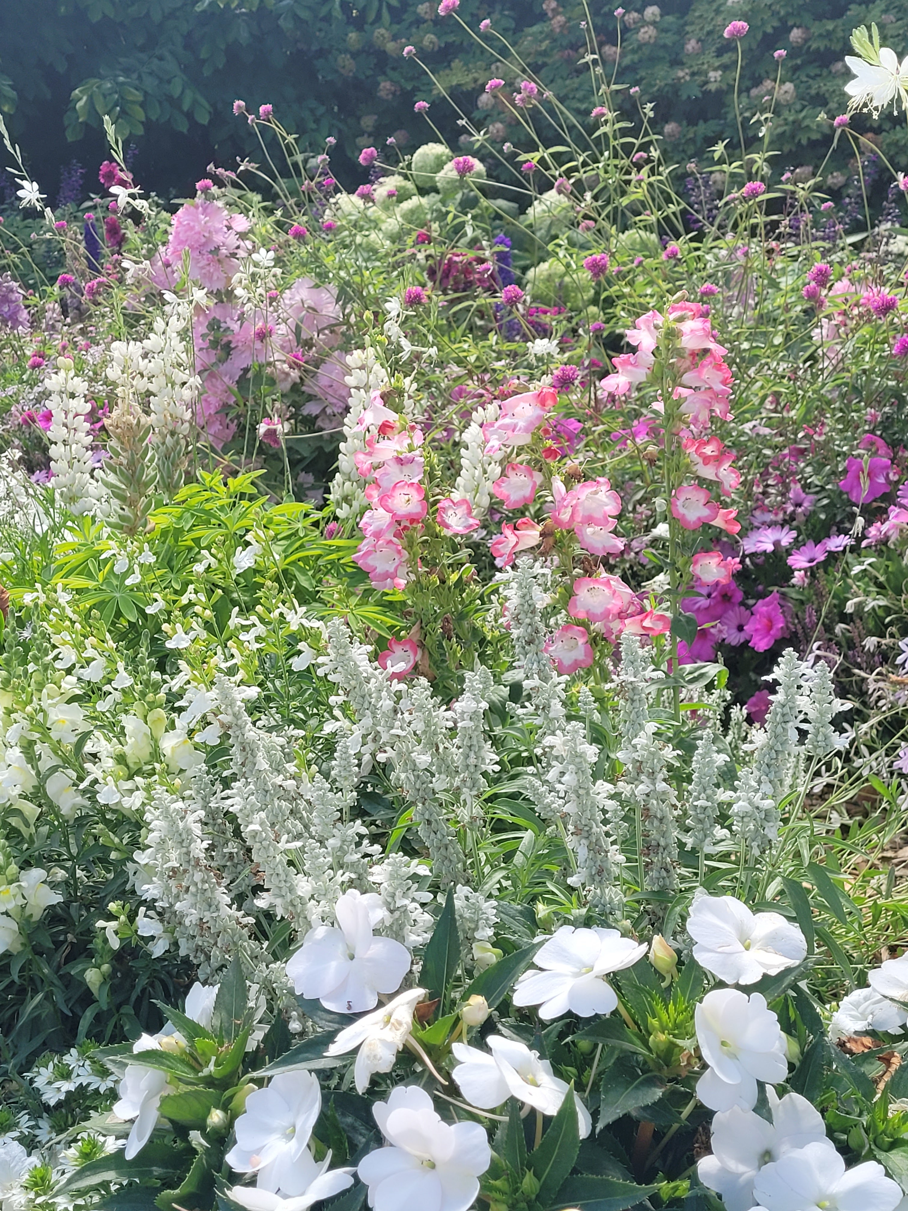 Photo n° 9 de l'avis de Alexa.. fait le 23/07/2022 à 17:33