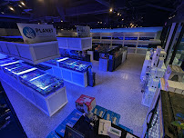 Matt's Corals & Service - Photo 9 - Car repair in Gahanna, OH, Columbus