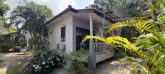 Sabaii Bay Beach Club Koh Phangan