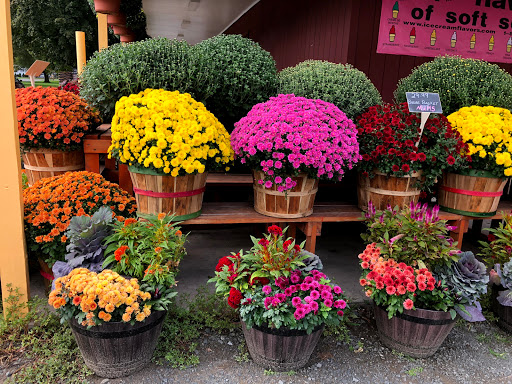 Produce Market «Dzen Garden Market», reviews and photos, 187 Windsorville Rd, Ellington, CT 06029, USA
