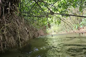 Caura River (Pool 1) image