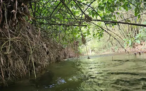 Caura River (Pool 1) image