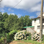 Photo n°7 de l'avis de Gaetano.r fait le 13/08/2023 à 08:11 sur le  La Tana d'Andrean à Guardia Piemontese