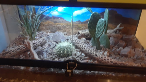 Art Museum «i.d.e.a. Museum», reviews and photos, 150 W Pepper Pl, Mesa, AZ 85201, USA