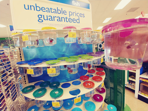 Pet Supply Store «PetSmart», reviews and photos, 10900 W Jefferson Blvd, Culver City, CA 90230, USA