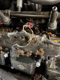 Blanco Auto Mechanic & Towing - Photo 6 - Car repair in Tacoma, WA, Tacoma