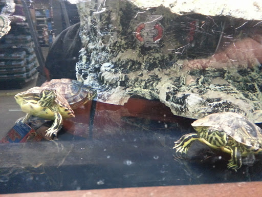 Pet Supply Store «Petco Animal Supplies», reviews and photos, 16710 Royalton Rd, Strongsville, OH 44136, USA