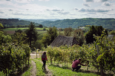 Domaine le Verdus à Conques-en-Rouergue