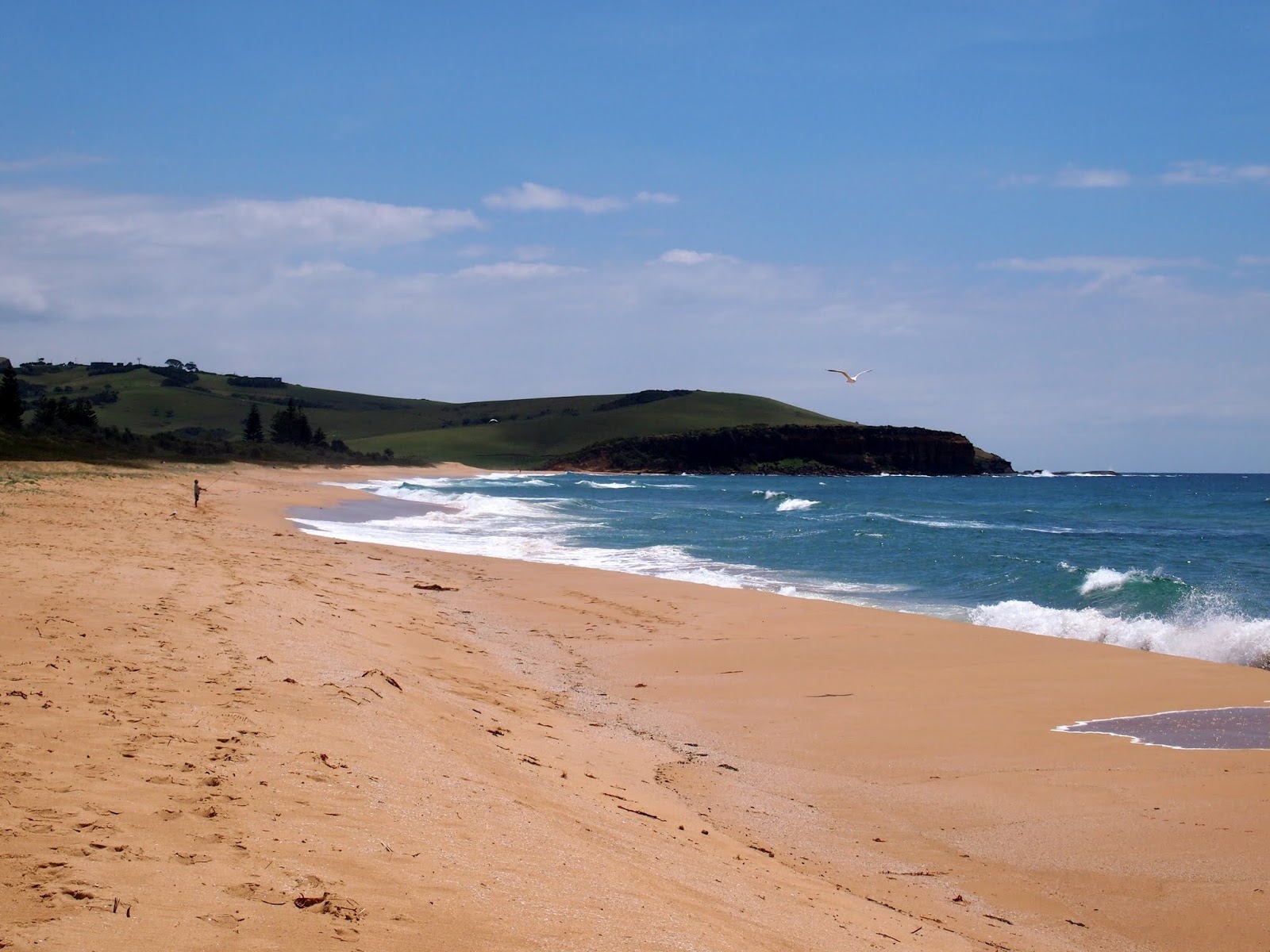 Werri Beach的照片 位于自然区域