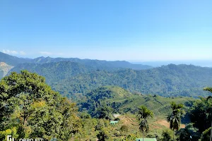 Tindharia View Point image