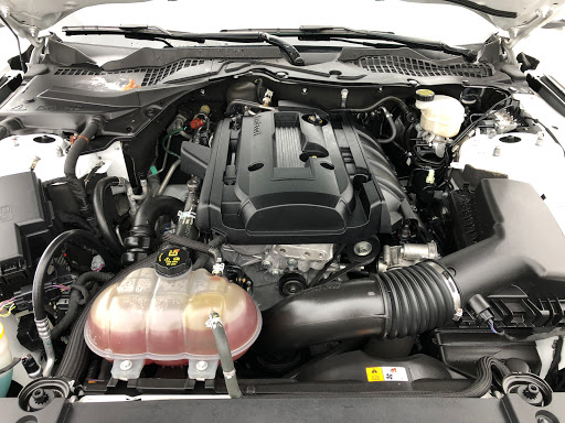 Motorcycle Parts Store «Action Cycles», reviews and photos, 1174 Fort Campbell Blvd, Clarksville, TN 37042, USA