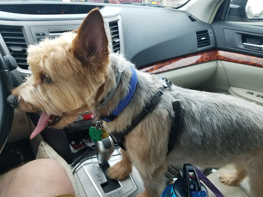 Pet Supply Store «Pet Supplies Plus», reviews and photos, 175 Memorial Ave, West Springfield, MA 01089, USA