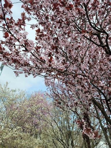 Park «DeHart Park», reviews and photos, 120 Burnett Ave, Maplewood, NJ 07040, USA