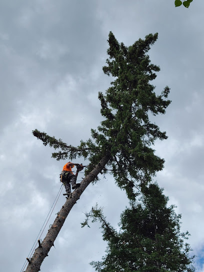 Rough Country Tree Service