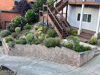 Navarrete’s Brothers Land Scape - Photo 4 - Car repair in , San Francisco