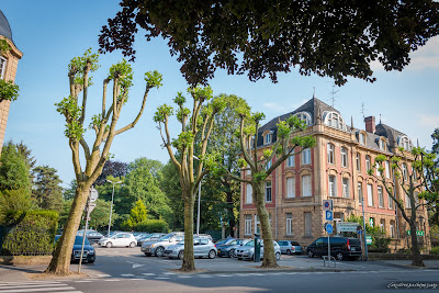 ReiQi-Libre à Thionville