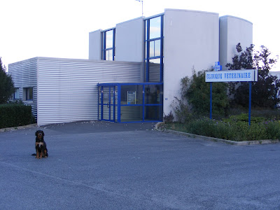 AV3S - Clinique Vétérinaire du Bosquet -Dr Arnal - Dr Lafon - Dr Rey à Luc-la-Primaube