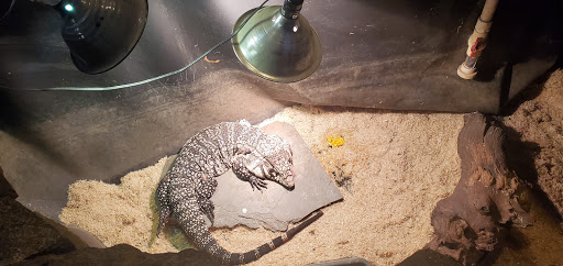 Pet Store «Pets World», reviews and photos, 147 Bridge St, Weymouth, MA 02191, USA