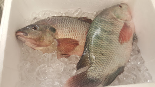 Butcher Shop «Carnivore Oak Park», reviews and photos, 1042 Pleasant St, Oak Park, IL 60302, USA