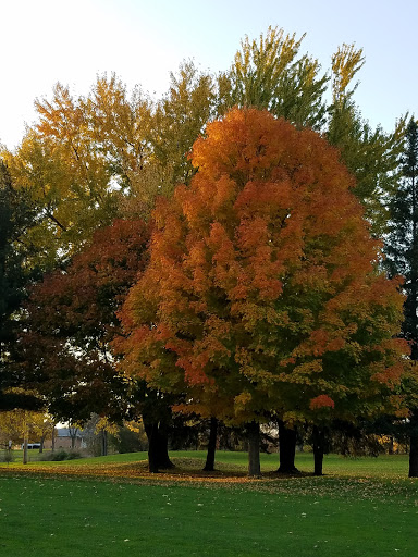 Golf Course «Pine Hills Golf Course», reviews and photos, 6603 Woodbury Rd, Laingsburg, MI 48848, USA