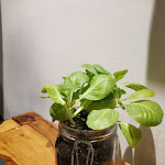 Photo n°1 de l'avis de Andrzej. fait le 20/05/2023 à 20:44 sur le  La Bottega di Ines à San Quirico d'Orcia