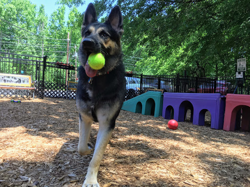 Pet Supply Store «The Hungry Puppy», reviews and photos, 1288 NJ-33, Farmingdale, NJ 07727, USA