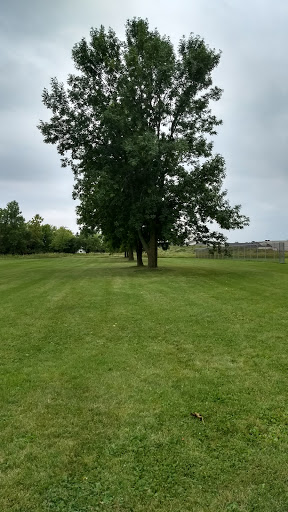 Insurance Agency «Humana Inc», reviews and photos