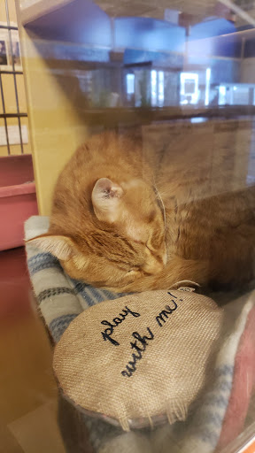 Pet Supply Store «PetSmart», reviews and photos, 2997 Max Ave, Bozeman, MT 59718, USA