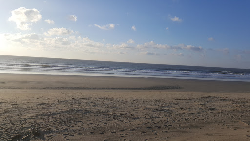 Lumber Store «Buck Lumber & Building Supply Inc», reviews and photos, 1911 Maybank Hwy, Charleston, SC 29412, USA