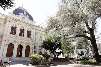 Universidad Nacional de La Plata (UNLP)