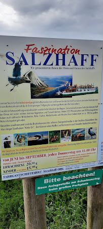 Sailor's Restaurant & Café à Rerik menu