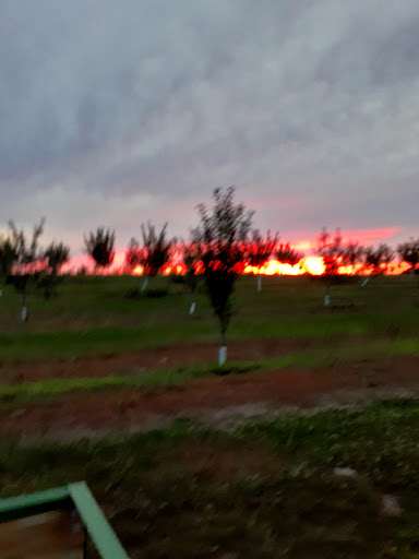 Winery «Echo Hill Orchards & Winery», reviews and photos, 101 Wilbraham Rd, Monson, MA 01057, USA