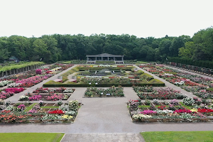 Jindai Botanical Gardens image