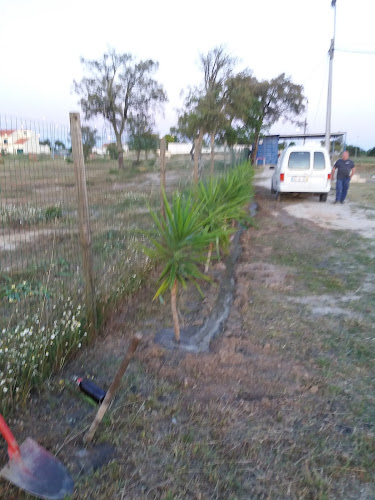 Foros Afeiteira, Vendas Novas - Vendas Novas