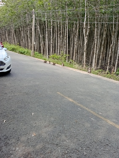 Top 20 cửa hàng play Huyện Cần Giờ Hồ Chí Minh 2022