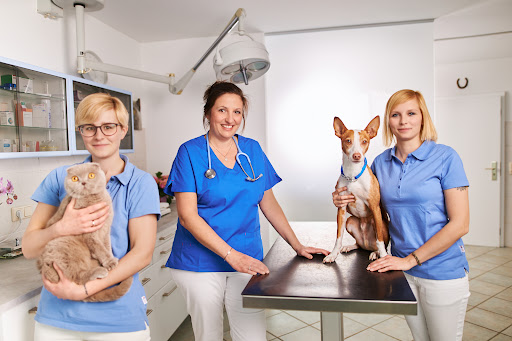 Vet practice Dr. Peter Noetzel unter Duisburg, Nordrhein-Westfalen