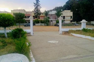 Jardin Public (PAM) image