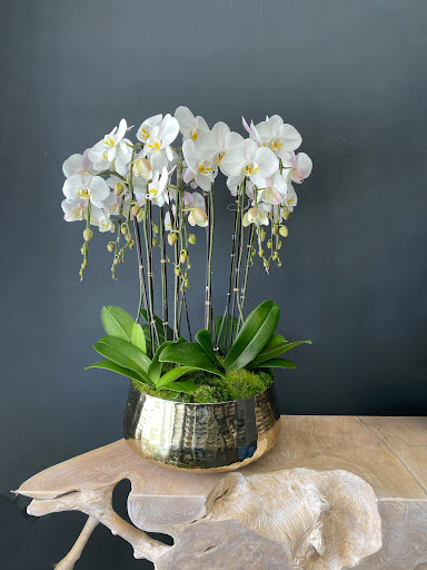 Twigs & Thyme Floral Studio image