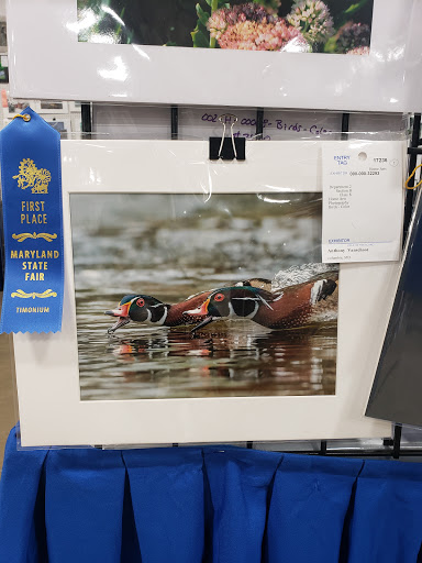 Drug Store «CVS», reviews and photos, 3300 Centennial Ln, Ellicott City, MD 21042, USA