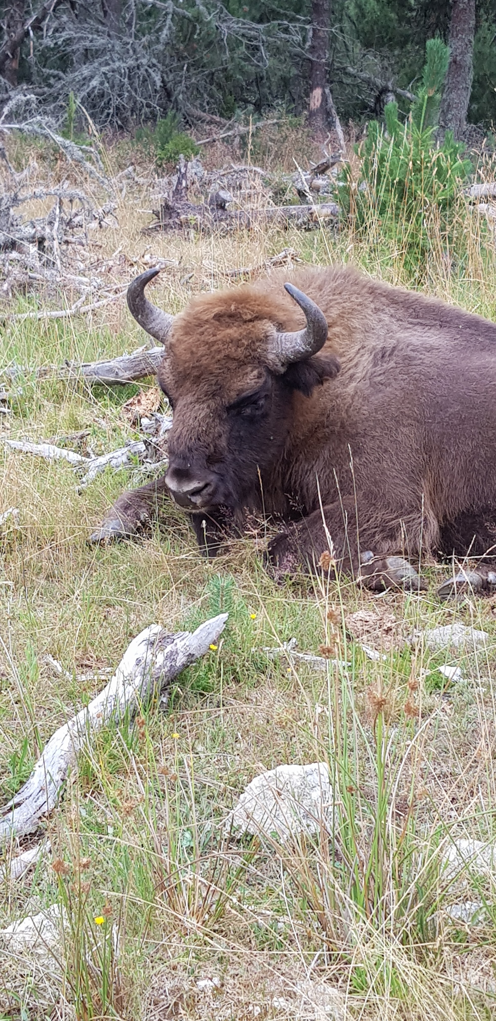 Photo n° 4 de l'avis de J.e fait le 02/08/2020 à 11:01