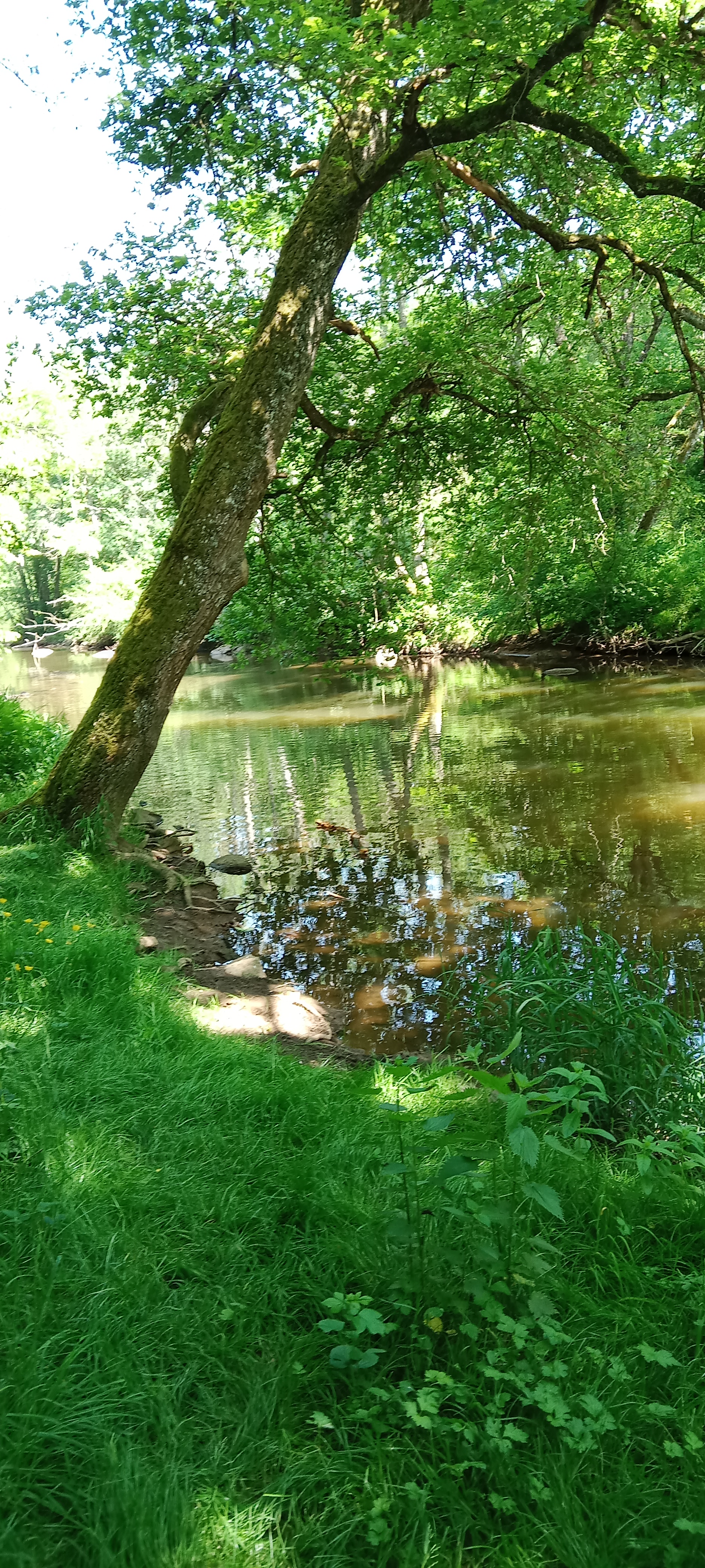 Photo n° 9 de l'avis de Sébastien.h fait le 28/05/2023 à 18:59