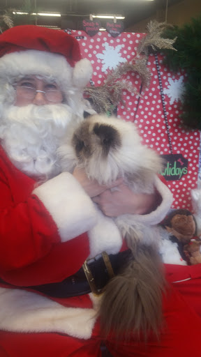 Pet Supply Store «Pet Pros Hillsboro», reviews and photos, 7290 NE Butler St, Hillsboro, OR 97124, USA